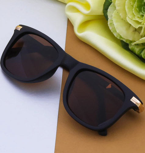 Unisex Brown Lens & Black Wayfarer UV Protected Lens Sunglasses
